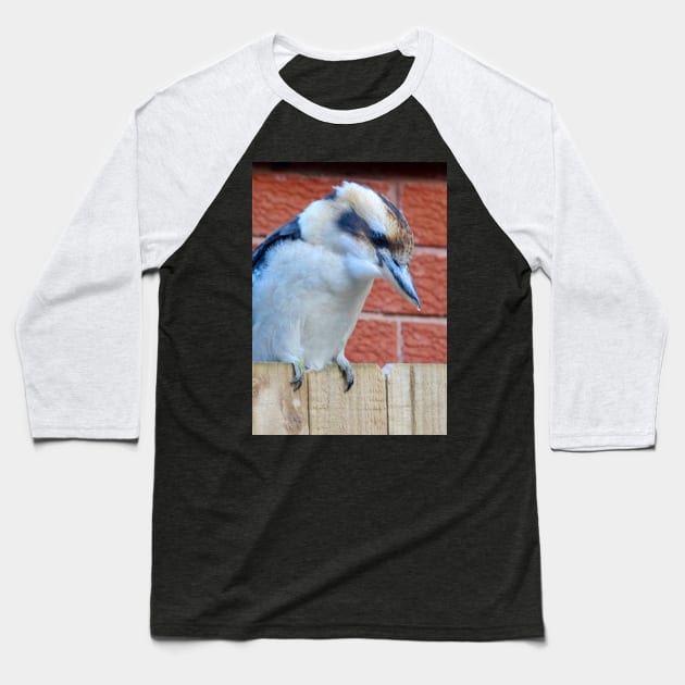 Kookaburra on the Fence! Baseball T-Shirt by Mickangelhere1